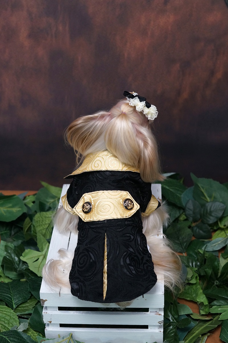 Pakaian Anjing Buatan Tangan P - Suitsupply Wedding Tuxedo ulasan dan harga
