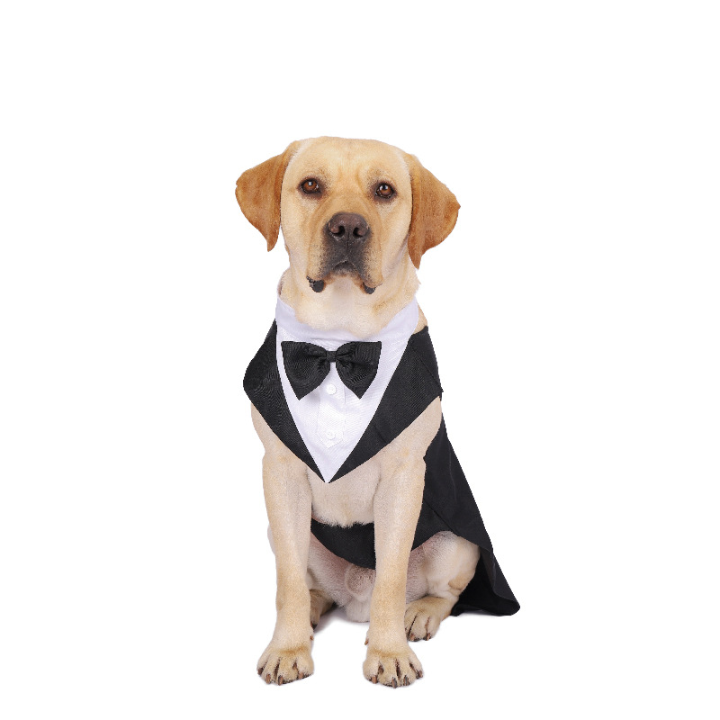 Pakaian Anjing Peliharaan Mode - Suitsupply Wedding Tuxedo ulasan dan harga