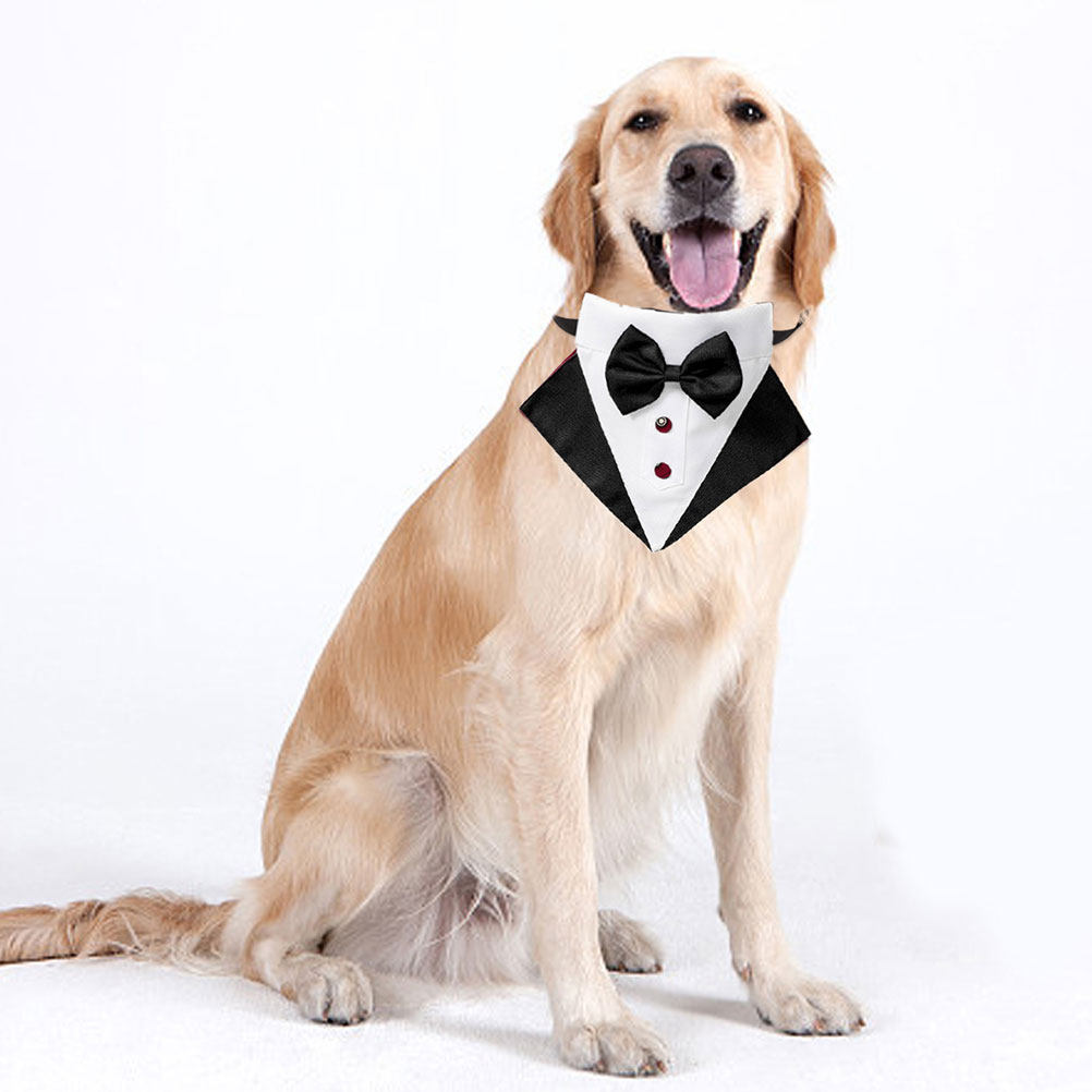 1Set Kostum Anjing dan Bandana - Suitsupply Wedding Tuxedo ulasan dan harga