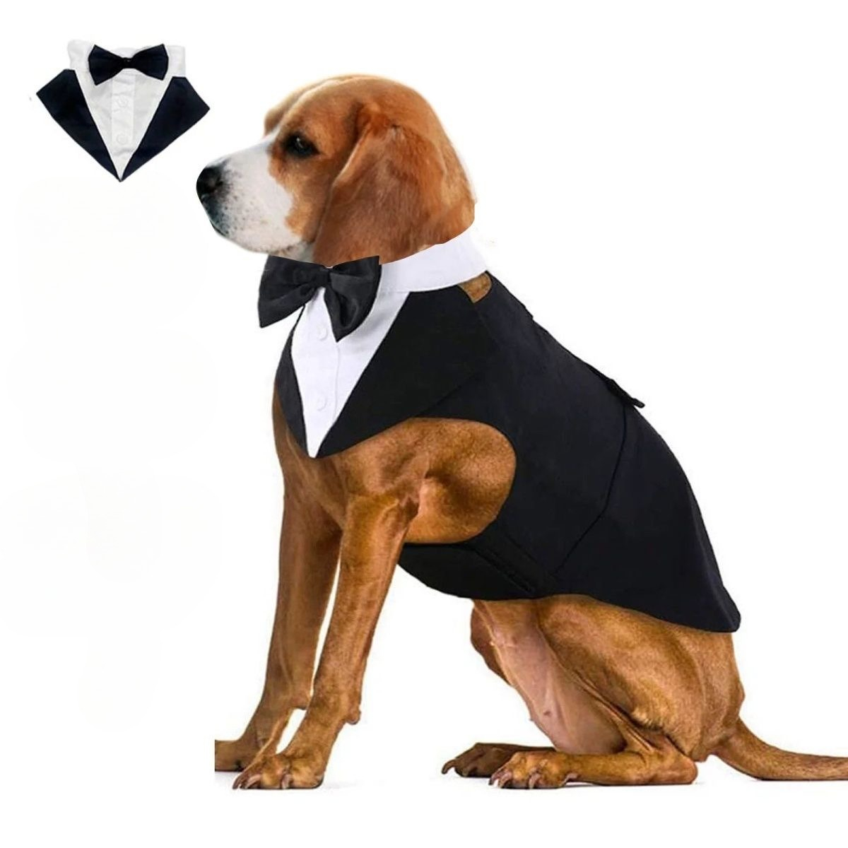 Pakaian Anjing Peliharaan, Pak - Suitsupply Wedding Tuxedo ulasan dan harga